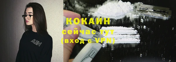 гидра Кукмор
