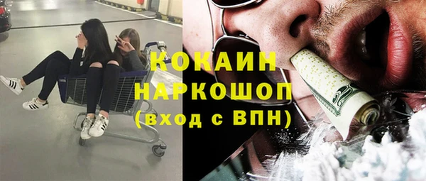 гидра Кукмор